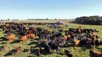 Grupo de produtores do Sindicato Rural de Laranjeiras do Sul realiza visitas técnicas em Guarapuava
